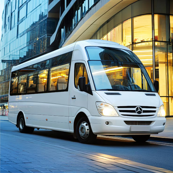 Buses