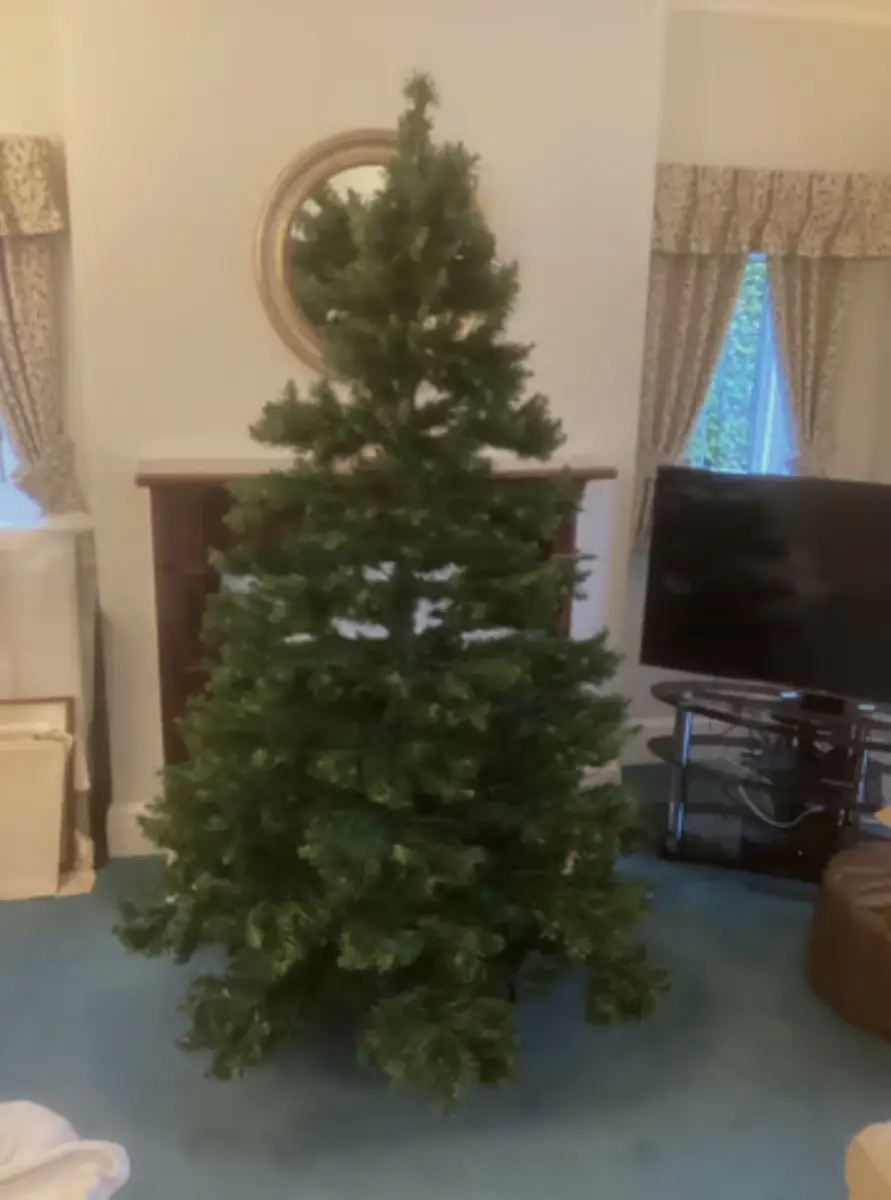Traditional Christmas Tree