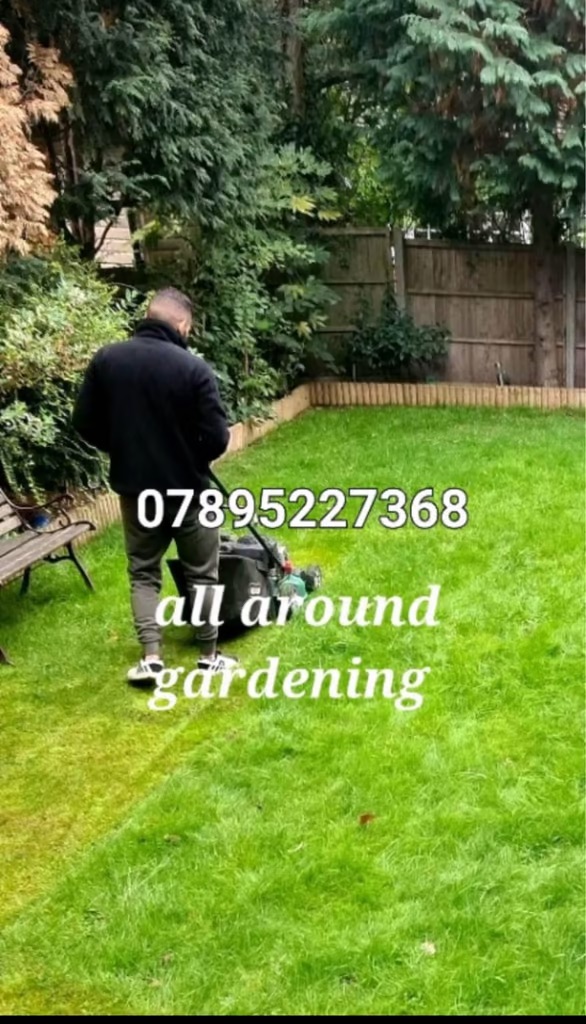 Mr Gardener