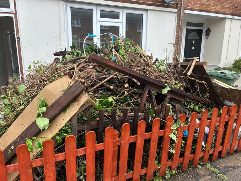 Able landscape gardening and tree